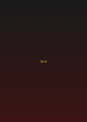 四虎影视 - 极速追击海报